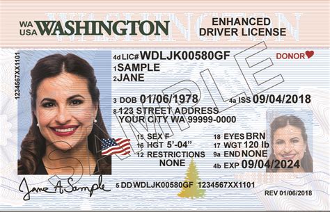 washington state id renewal online